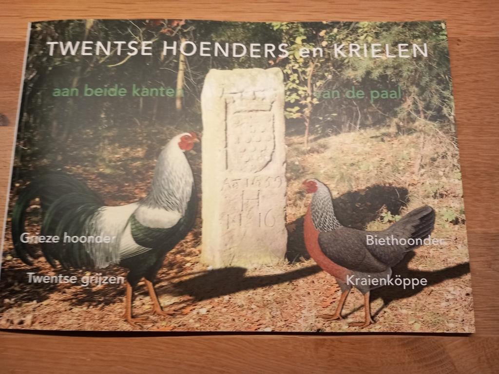 Twentse hoenders, Dieren en Toebehoren, Pluimvee, Meerdere dieren, Kip
