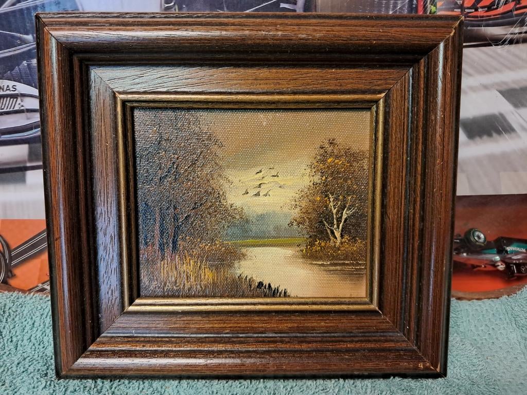 Schilderijtje met landschap en vogels, Ophalen of Verzenden