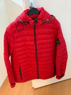 NEW Gaastra rode gewatteerde jack maat L Key West, Ophalen of Verzenden, Nieuw, Maat 52/54 (L), Rood