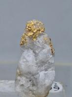 GOUD OP KWARTS, CANADA, Ophalen of Verzenden, Mineraal