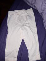 Nieuw broekje van Lupilu, maat 62/68, Broekje, Nieuw, Lupilu, Verzenden