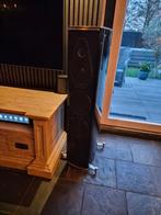 Sonus Faber Olympica Nova 3 Vloerstaande Luidsprekers, Zo goed als nieuw, 120 watt of meer, Front, Rear of Stereo speakers, Ophalen