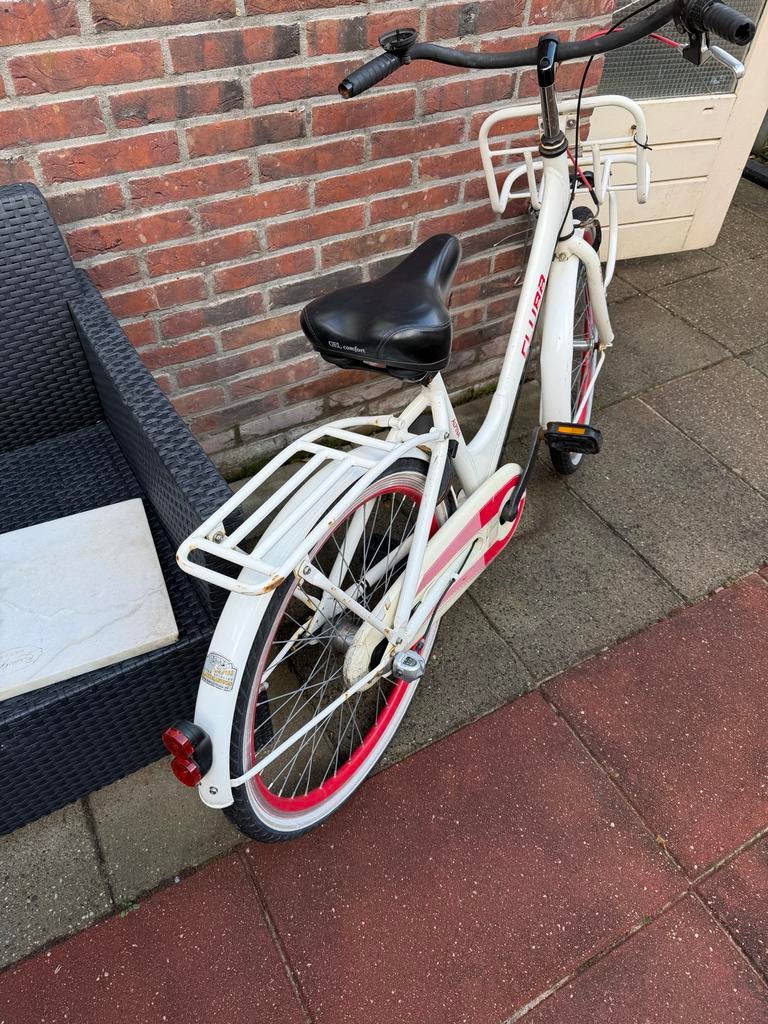 Alpina meisjesfiets // 7 - 10 jaar, Fietsen en Brommers, Fietsen | Meisjes, Ophalen, Gebruikt, 20 inch, Versnellingen