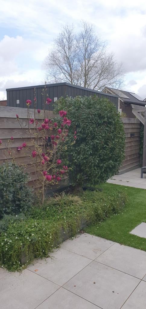 Tuinman gezocht, Ophalen of Verzenden