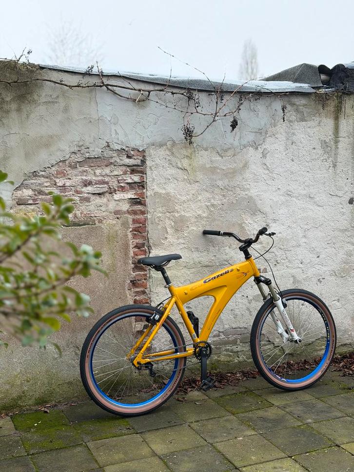 Unike MTB Gazelle Extreme Custom -Magura HS - Billy Bonkers, Fietsen en Brommers, Fietsen | Mountainbikes en ATB, Gebruikt, Heren