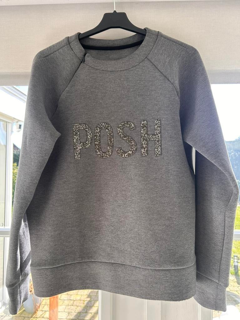 Goldbergh sweater grijs maat L, Ophalen of Verzenden, Zo goed als nieuw, Maat 38/40 (M), Grijs