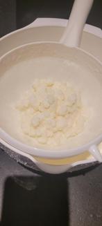 Kefir korrels, Diversen, Levensmiddelen, Ophalen