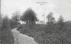 Pa1435 oude ansichtkaart de steeg middachterbosch kijkover, Ophalen of Verzenden, 1940 tot 1960, Ongelopen, Noord-Brabant