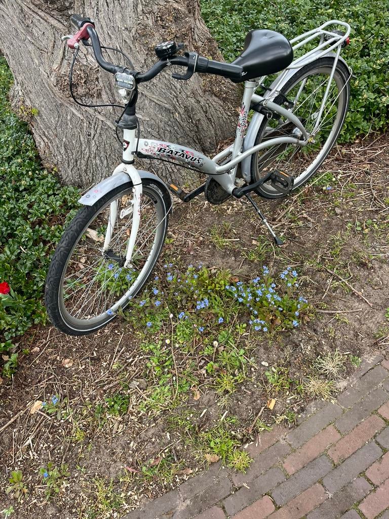 Kinderfiets, 20 inch of meer, Gebruikt, Versnellingen, Batavus