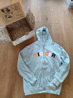 Leuke Disneyland Parijs hoodie maat XL, Ophalen of Verzenden, Grijs, Disney, Maat 56/58 (XL)