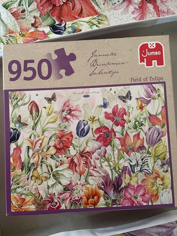 Jumbo legpuzzel 950 stukjes Janneke Brinkman, Hobby en Vrije tijd, Denksport en Puzzels, Zo goed als nieuw, Legpuzzel, 500 t/m 1500 stukjes