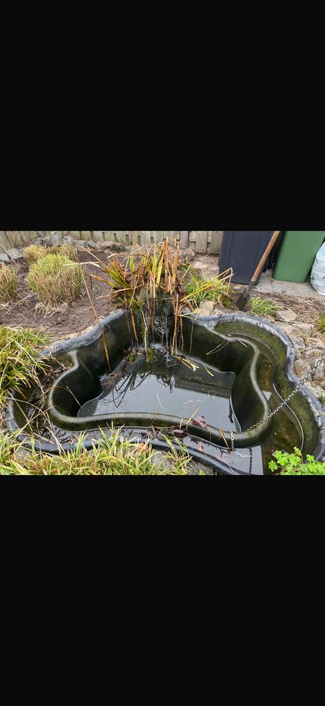 Voorgevormde vijverbak - 2.5 x 2.5, Tuin en Terras, Vijvers, Ophalen of Verzenden, Gebruikt