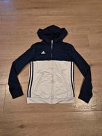 Vest Adidas maat XS, Ophalen of Verzenden, Zo goed als nieuw, Maat 34 (XS) of kleiner