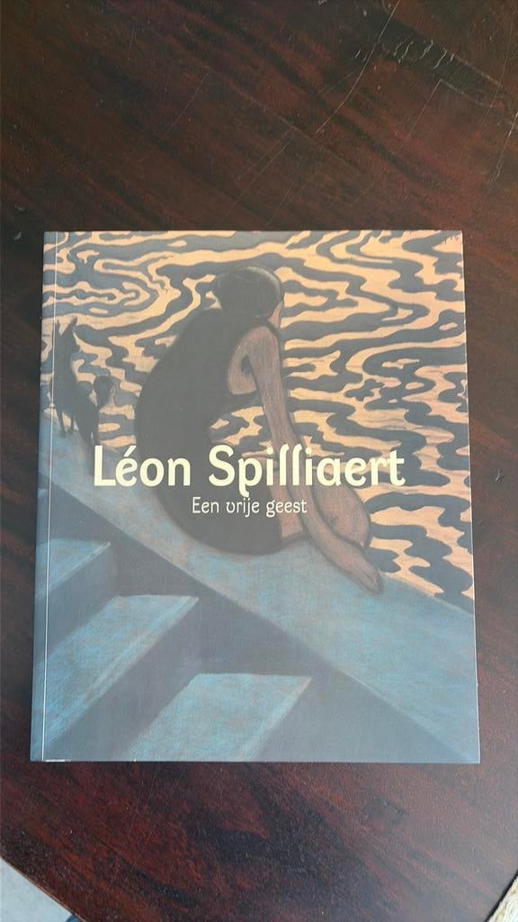 Leon Spilliaert; Een vrije geest - Michel Draguet, Boeken, Kunst en Cultuur | Beeldend, Ophalen of Verzenden, Schilder- en Tekenkunst