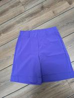 Nieuw! Andcowoman short Philis maat M, Kleding | Dames, Maat 38/40 (M), Kort, Paars, Nieuw