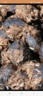 GRATIS ophalen Biologische  paardenmest mest op te halen, Ophalen