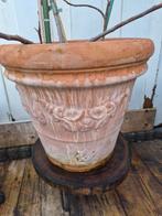 Terracotta pot met eetbaar vijgenboompje (40x40 cm), Gebruikt, Minder dan 60 cm, Vierkant, Ophalen of Verzenden