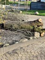 Gratis, Tuin en Terras, Minder dan 3 m³, Ophalen of Verzenden