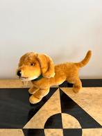 Teckelpup Bazi van Steiff, Ophalen of Verzenden