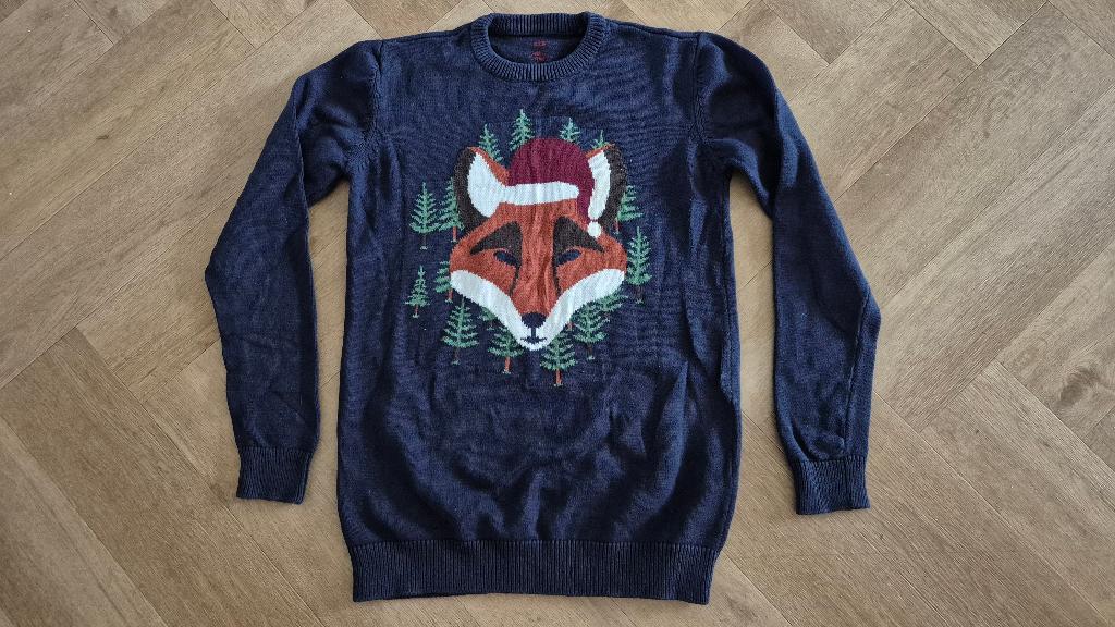 leuke blauwe kersttrui maat 170/176, Kinderen en Baby's, Kinderkleding | Maat 170, WE, Trui of Vest, Ophalen of Verzenden, Zo goed als nieuw
