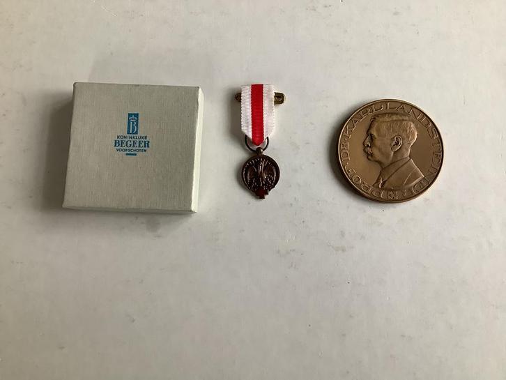 PENNING PROF.DR.KARL LANDSTEINER., Postzegels en Munten, Penningen en Medailles, Brons, Ophalen of Verzenden