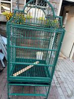 Vogelkooi, Ophalen of Verzenden, Zo goed als nieuw, Metaal, Vogelkooi