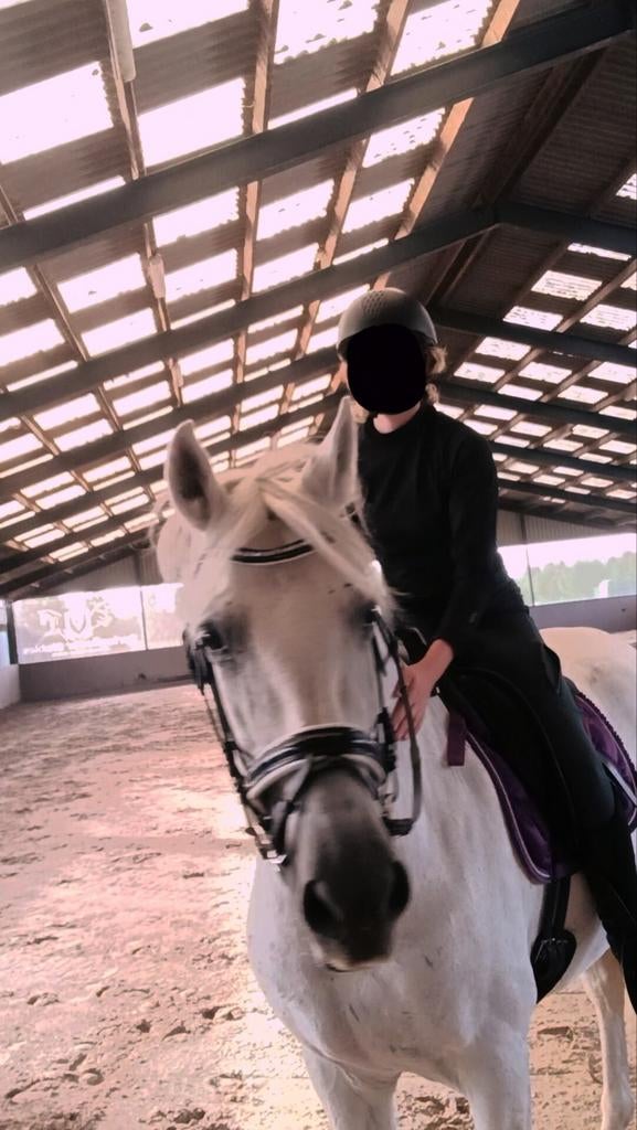 Lease paard/pony gezocht, ervaren bijrijder aangeboden, Dieren en Toebehoren, Paarden en Pony's | Verzorgingsproducten, Nieuw