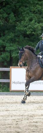 Cwd borsttuig, Ophalen of Verzenden, Zo goed als nieuw, Springen