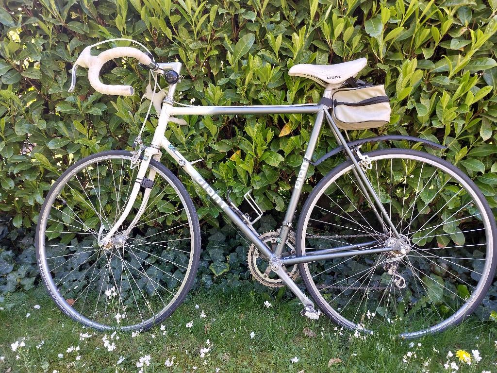 Renfiets, Fietsen en Brommers, Fietsen | Racefietsen, Ophalen, Gebruikt, 10 tot 15 versnellingen, Aluminium
