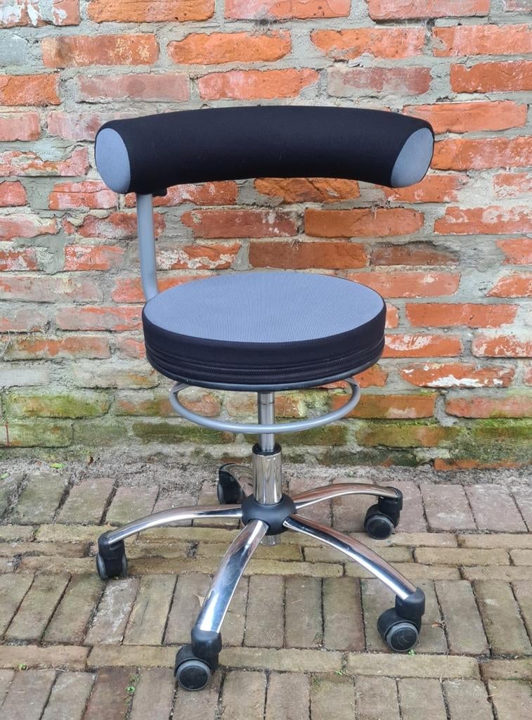 Design gezondheidsstoel Sanus, Ophalen, Sanus