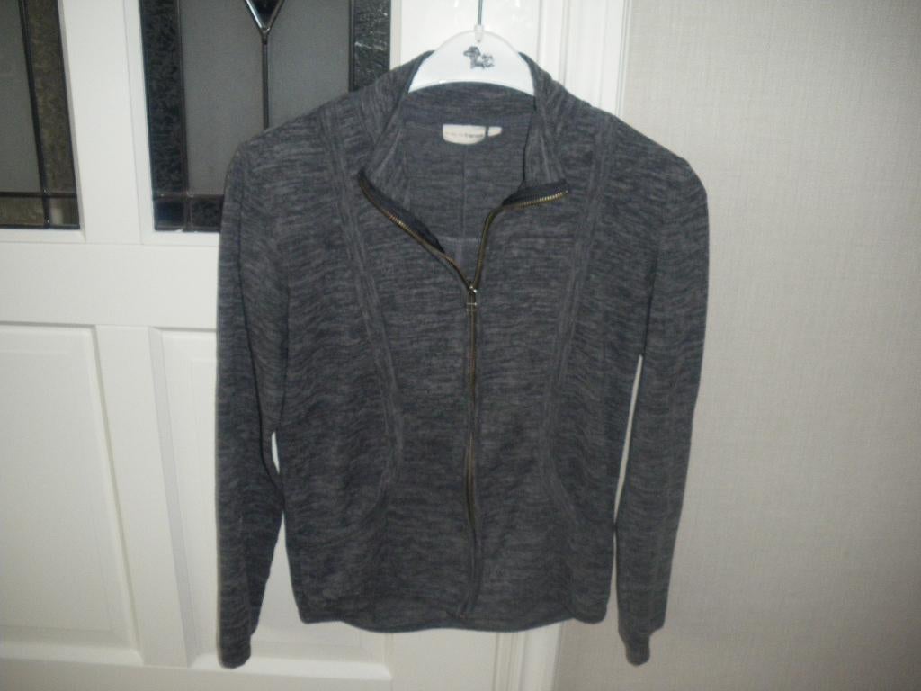 zgan heel mooi grijs voorjaars vest merk fransa maat smal, Kleding | Dames, Ophalen of Verzenden, Zo goed als nieuw, Maat 36 (S)