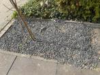 Gratis op te halen: mooie grijze kiezels, ca. 5 m2, Tuin en Terras, Grind, Keien en Split, Ophalen, Zo goed als nieuw