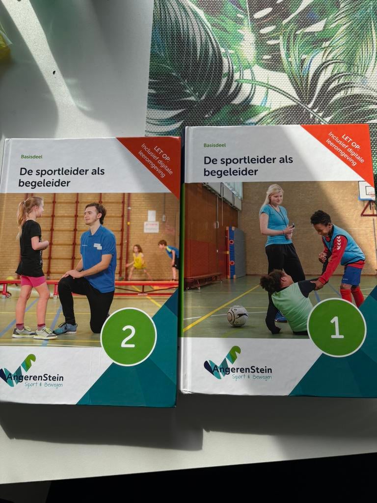 Sportleider als begeleider / sport- en bewegen MBO, Boeken, Ophalen of Verzenden, Zo goed als nieuw, Overige niveaus, Overige vakken