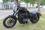 Harley-Davidson Sportster XL 883 sportster 883 iron, Motoren, Motoren | Harley-Davidson, Chopper, Bedrijf, 883 cc, Meer dan 35 kW