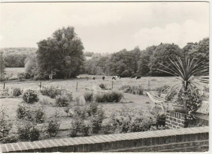 DE LUTTE Vakantie Oord Het Nije Huss gr.f., Verzamelen, Ansichtkaarten | Nederland, Ongelopen, Overijssel, 1960 tot 1980, Verzenden