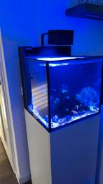 Red sea cube aquarium., Ophalen, Zo goed als nieuw, Leeg aquarium