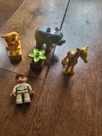 Duplo Dieren en zoo verzorgster, Ophalen of Verzenden, Gebruikt, Losse stenen, Duplo
