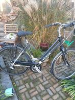 Dames fiets Koga 53cm nette staat, Fietsen en Brommers, Ophalen, Minder dan 10 versnellingen, 53 tot 56 cm, Zo goed als nieuw