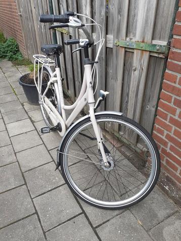 Gazelle lady liu  beschikbaar voor biedingen