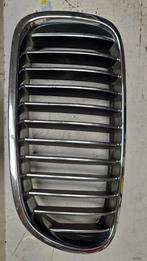 Nier Grille links met chroomraam en chroom strepen BMW 5 ser, Ophalen of Verzenden, Gebruikt