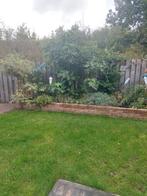 Bloembak stenen, Tuin en Terras, Ophalen, Minder dan 100 cm, Minder dan 25 cm