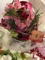 Hobby bloemen, Ophalen of Verzenden, Overige onderwerpen