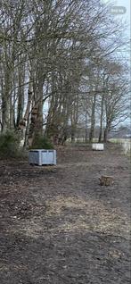 2 x Hooibak, hooi bak, slowfeeder bak, Dieren en Toebehoren, Stalling en Weidegang