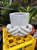 Bloempot met handen, Ophalen, Rond, Aardewerk, Minder dan 25 cm