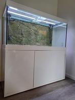 Aquatlantis Fusion groot aqaurium (ong. 600 liter aquarium ), Dieren en Toebehoren, Vissen | Aquaria en Toebehoren, Ophalen, Gebruikt