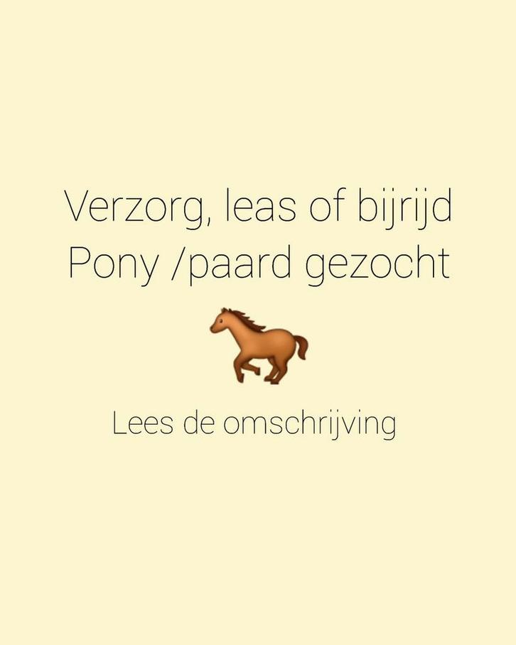 Verzorg, leas of bijrijd pony/paard gezocht, Dieren en Toebehoren, Paarden en Pony's | Overige Paardenspullen, Ophalen of Verzenden