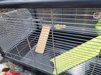 Hamsterkooi met toebehoren, Dieren en Toebehoren, Knaagdieren en Konijnen | Hokken en Kooien, Minder dan 60 cm, Kooi, Gebruikt