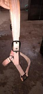 Licht roze glitter halster, Ophalen of Verzenden, Gebruikt, Overige soorten