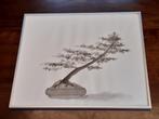 bonsai boom aquarel tekening grijs bruin 61x51 cm, Ophalen