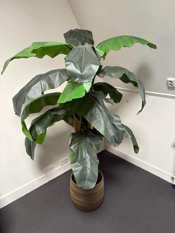Bananenplant kunstplant 2 stuks beschikbaar voor biedingen